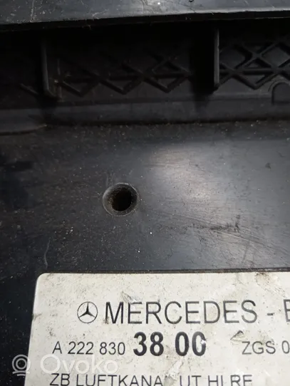 Mercedes-Benz S C217 Altra parte interiore A2228303800