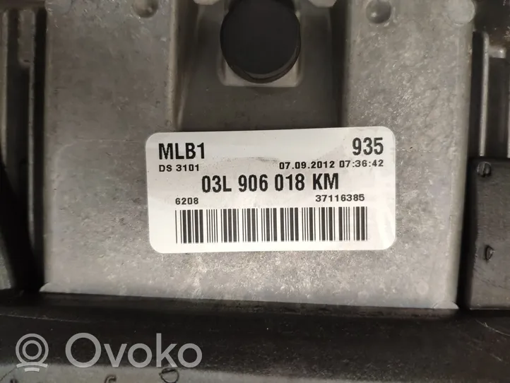 Audi A4 Allroad Sterownik / Moduł ECU 03L906018KM