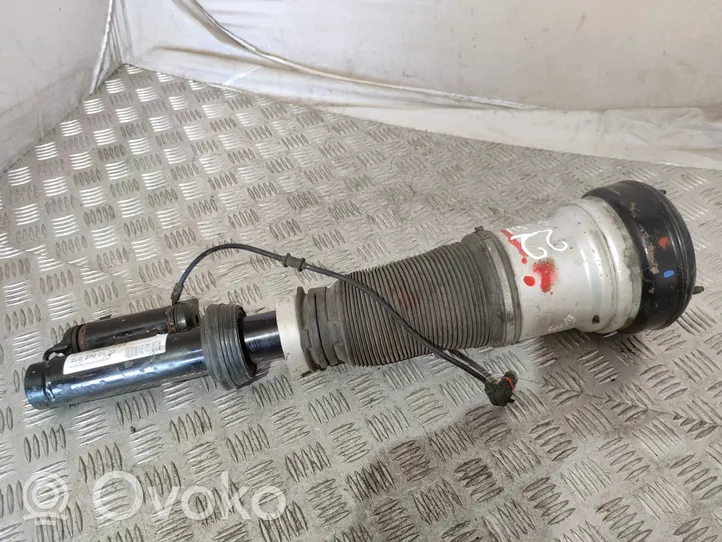 Mercedes-Benz S W220 Air suspension front shock absorber 2203202438