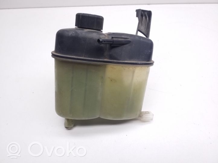 Mercedes-Benz A W169 Coolant expansion tank/reservoir A1695000049