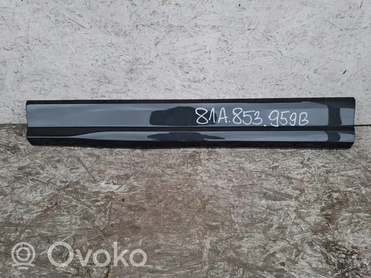 Audi Q2 - Moulure de porte avant 81A853959B