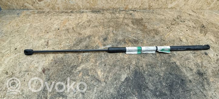 Volkswagen PASSAT CC Ammortizzatore portellone anteriore/cofano 3C8823359