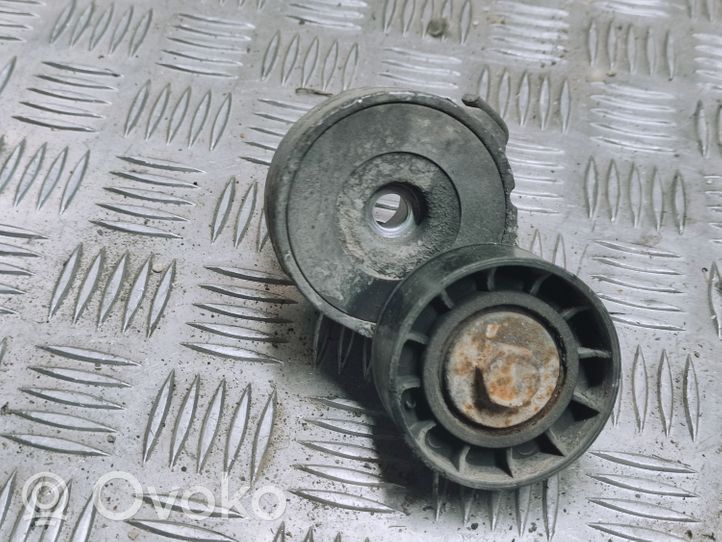 Fiat Punto (199) Napinacz paska alternatora 
