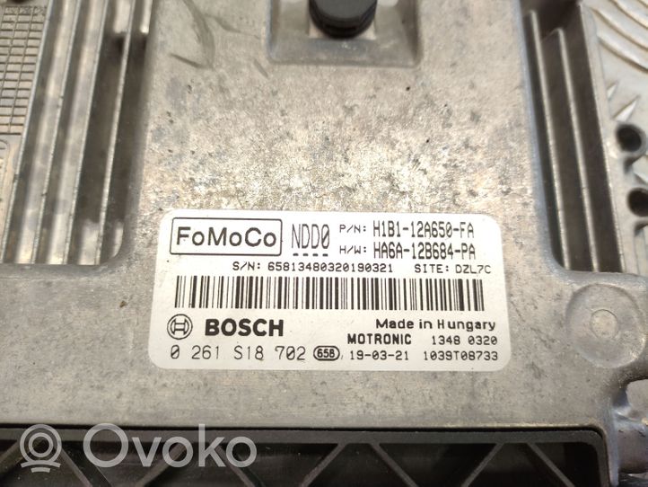Ford Fiesta Motorsteuergerät/-modul H1B112A650FA
