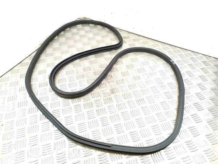 Nissan Juke I F15 Front door rubber seal 1106100416