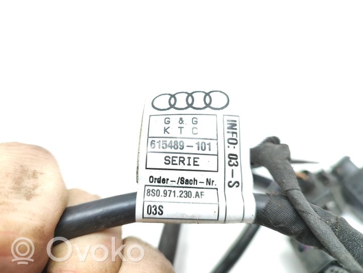 Audi TT TTS RS Mk3 8S Altro tipo di cablaggio 8S0971230AF