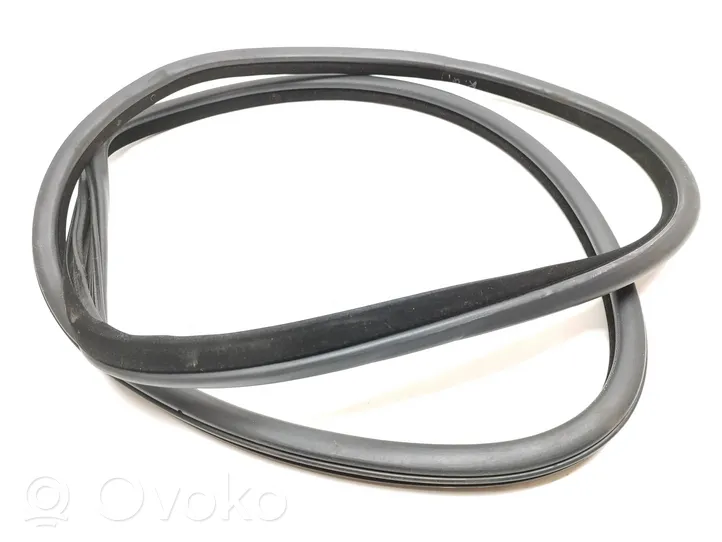 BMW 5 F10 F11 Rubber seal rear door 