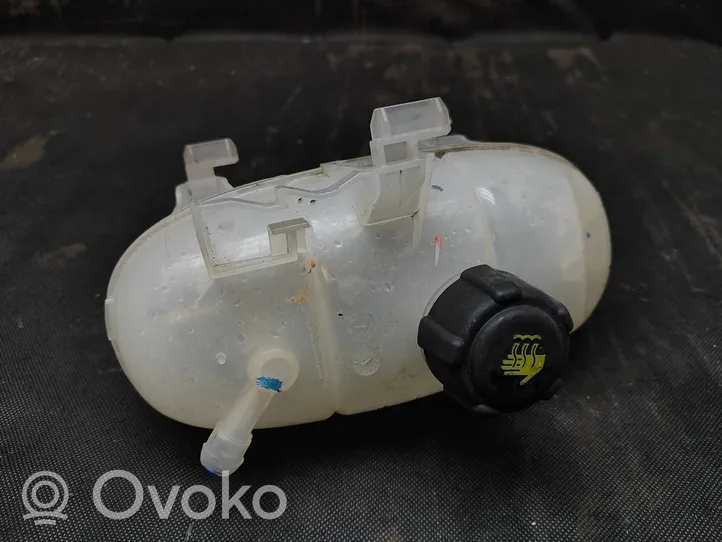 Renault Trafic III (X82) Coolant expansion tank/reservoir 217101893RA