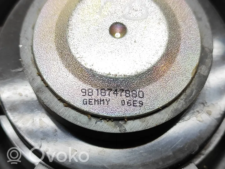 Peugeot 208 Garsiakalbis (-iai) priekinėse duryse 9816747880