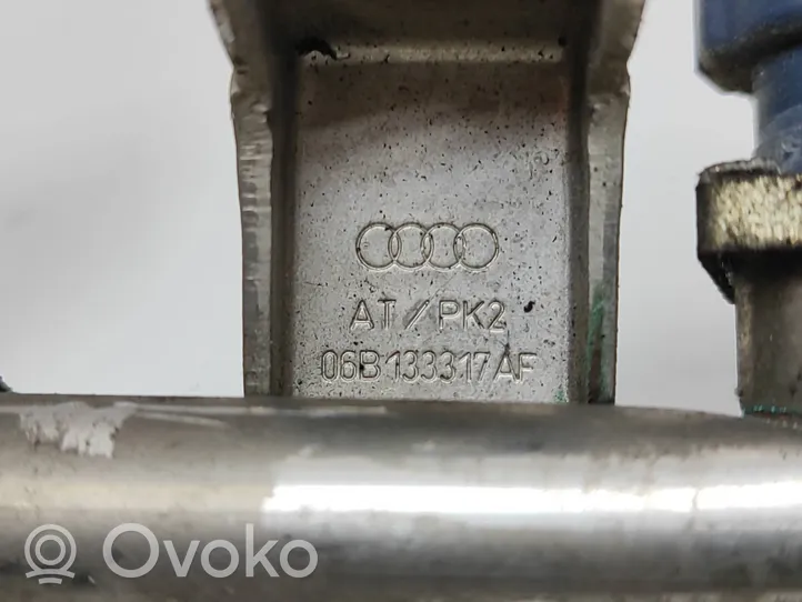 Audi A4 S4 B7 8E 8H Purkštukų (forsunkių) komplektas 06B133551M