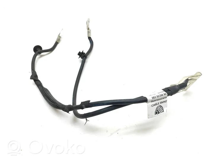 Peugeot 3008 II Cavo negativo messa a terra (batteria) 9838239880