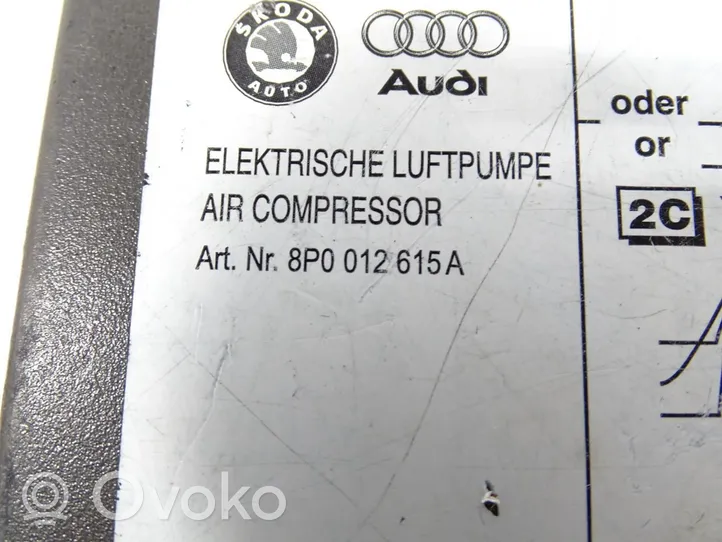 Audi A3 S3 8P Rengaspainekompressori 