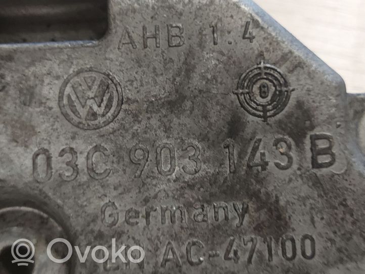 Volkswagen Tiguan Oro kondicionieriaus kompresoriaus kronšteinas 03C903143B