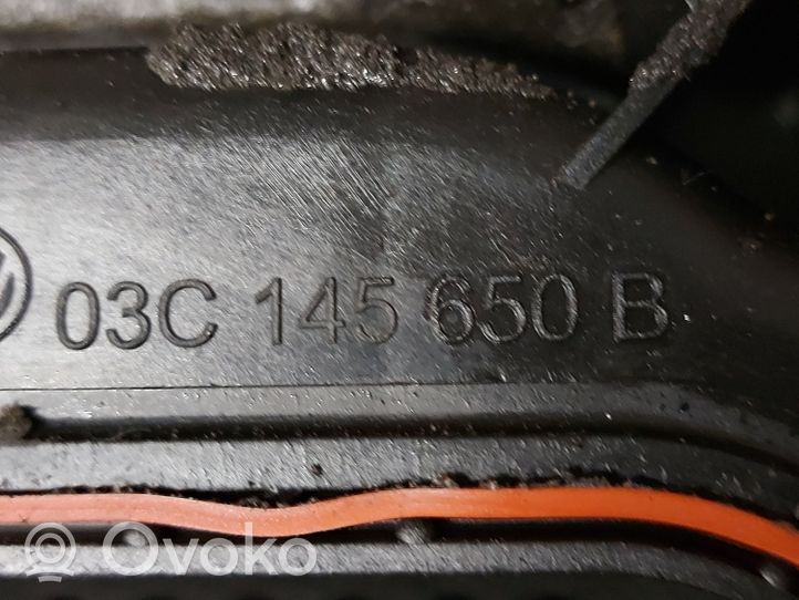 Volkswagen Tiguan Risuonatore di aspirazione 03C103502K