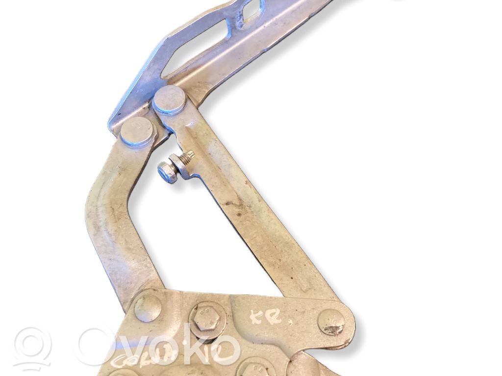 Opel Corsa D Engine bonnet/hood hinges 