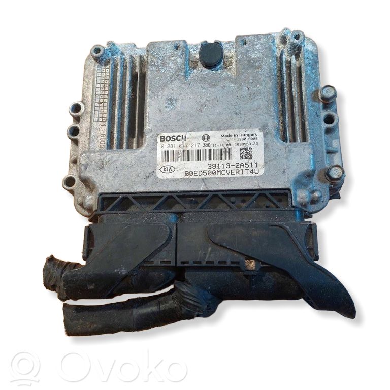 Unité de commande, module ECU de moteur   0281017217,391132A511,1039S53123