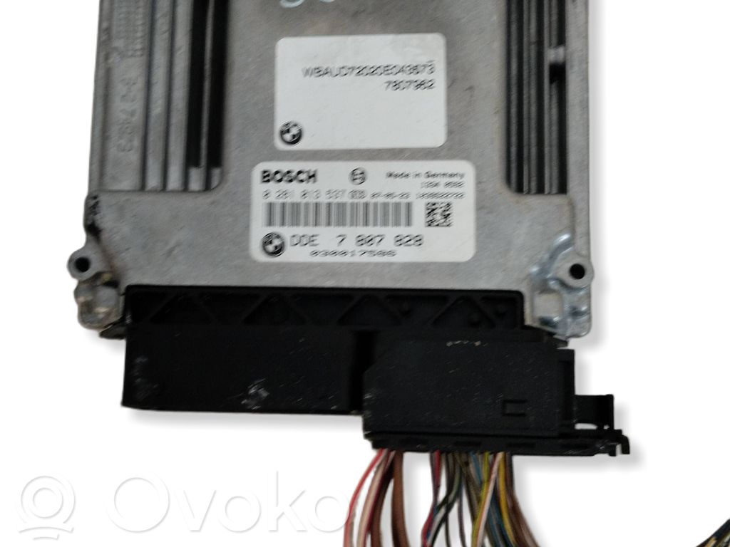 Engine control unit/module   7807828,0281013537,030017586
