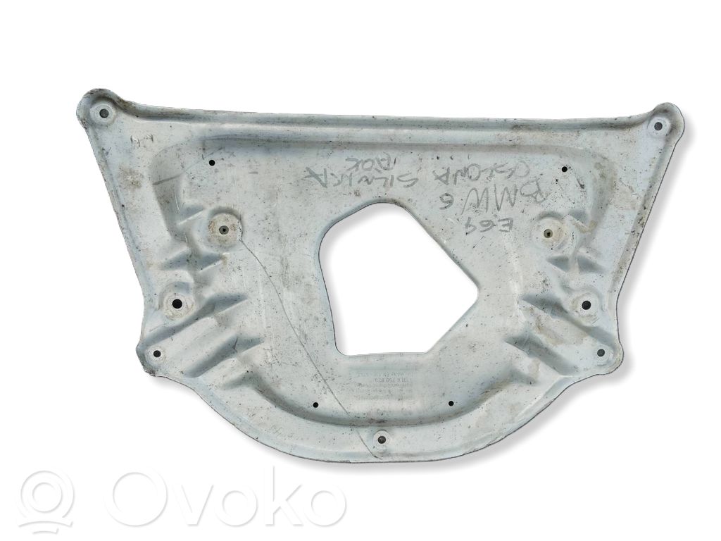 BMW 6 E63 E64 Variklio dugno apsauga 