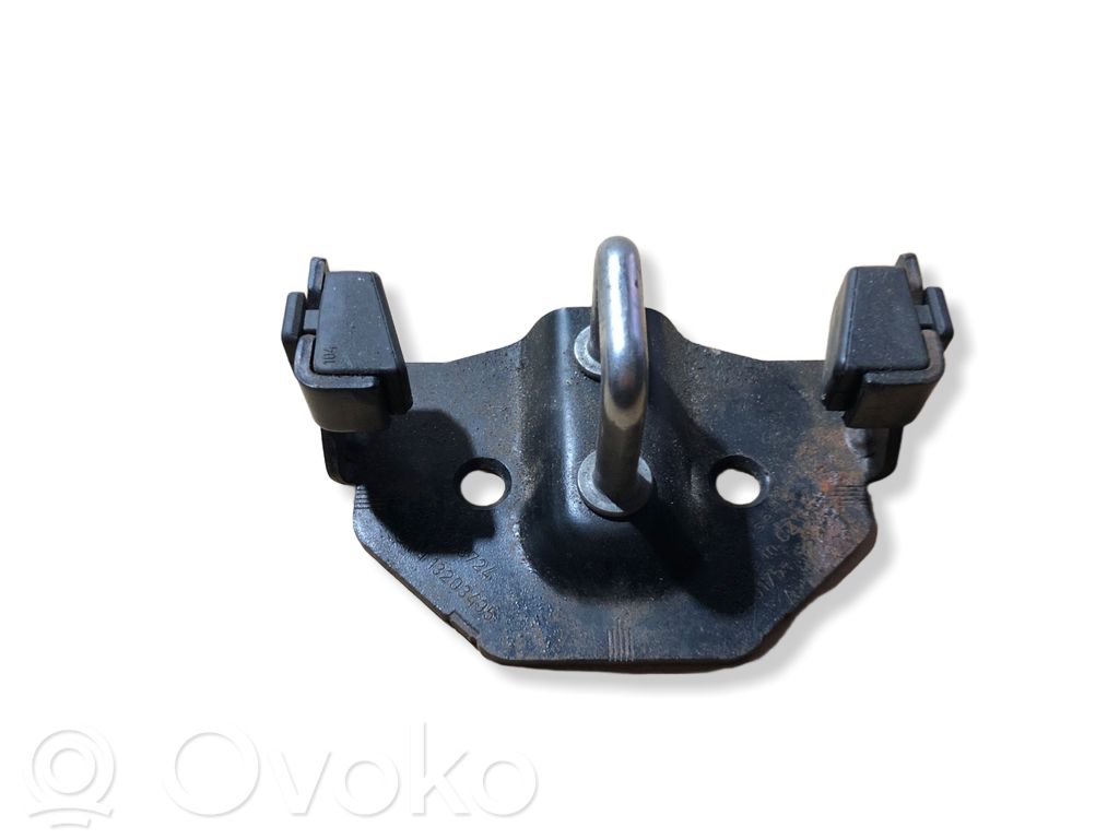 Loading door lock loop/hook striker   13203495,495058724