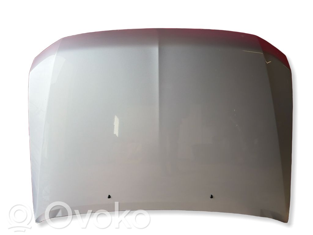 Mitsubishi Pajero Motorhaube 