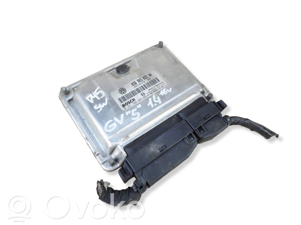 Volkswagen Golf V Engine control unit/module 