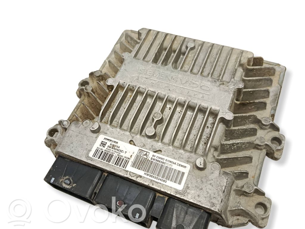 Peugeot 407 Engine control unit/module 
