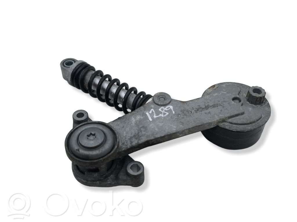 Diržo įtempėjas   2528303AA1