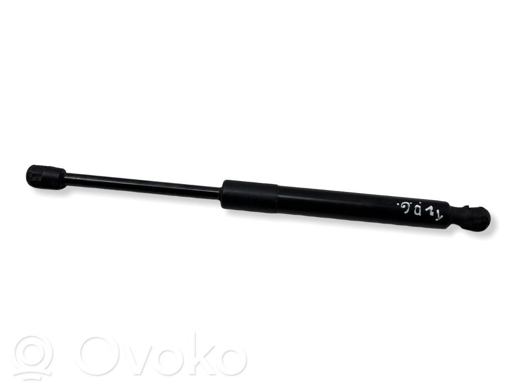 Tesla Model 3 Tailgate/trunk strut/damper 