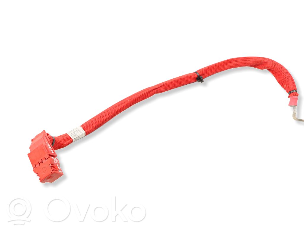 BMW X3M F97 Cable positivo (batería) 