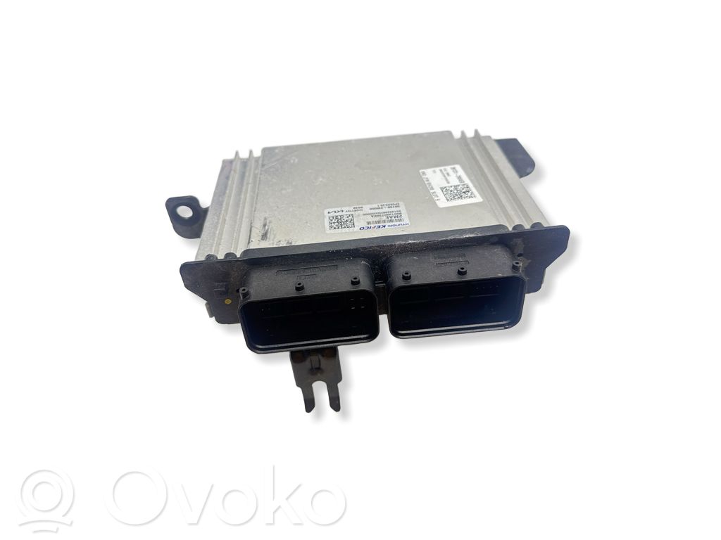 Engine control unit/module   391312MAE0