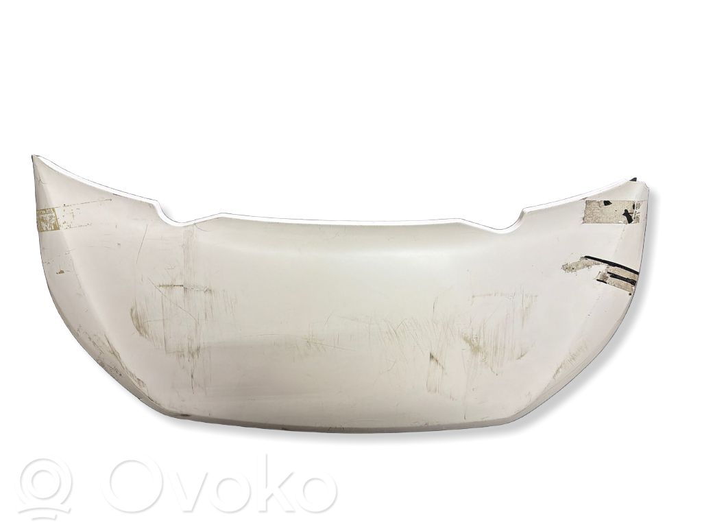 Dzinēja pārsegs (vāks)