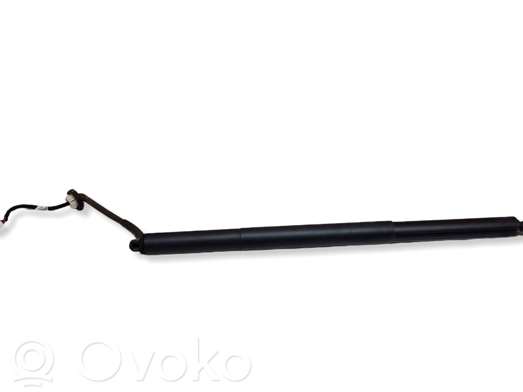 Tesla Model Y Tailgate/trunk strut/damper 