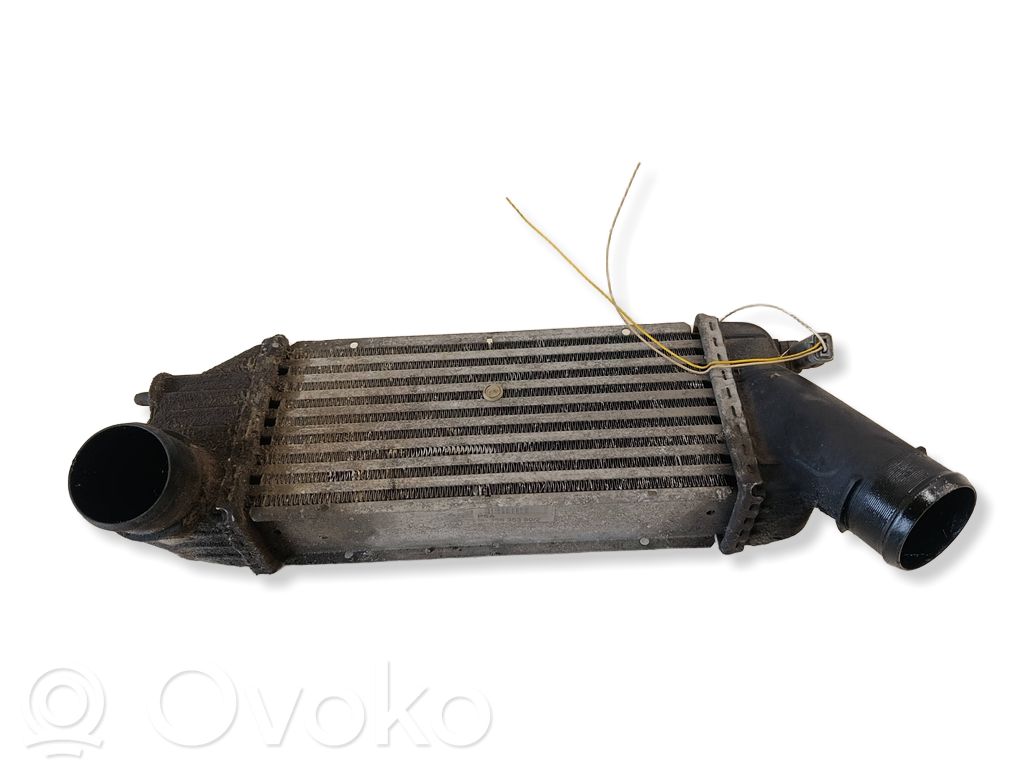 Peugeot 307 Interkūlerio radiatorius 