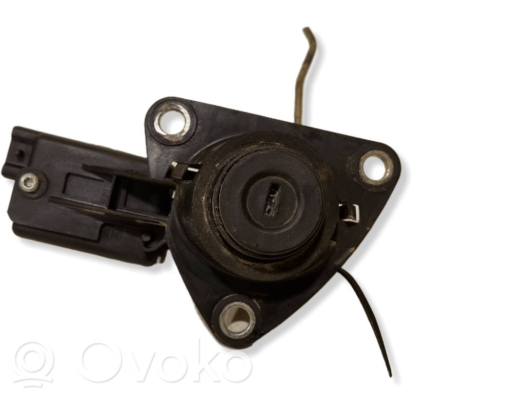 Dacia Duster Tailgate exterior lock 