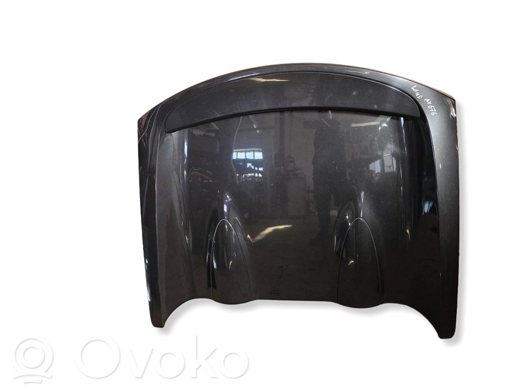 Tailgate/trunk/boot lid   972020001R