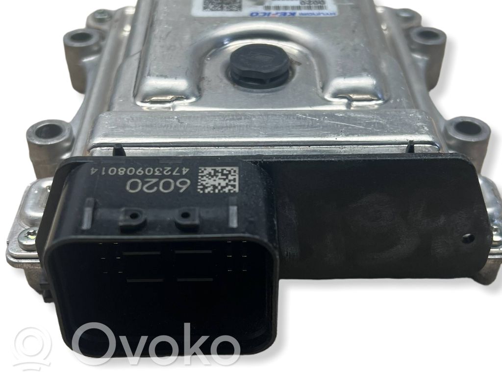 Inne komputery / moduły / sterowniki   954413D215,47230908014