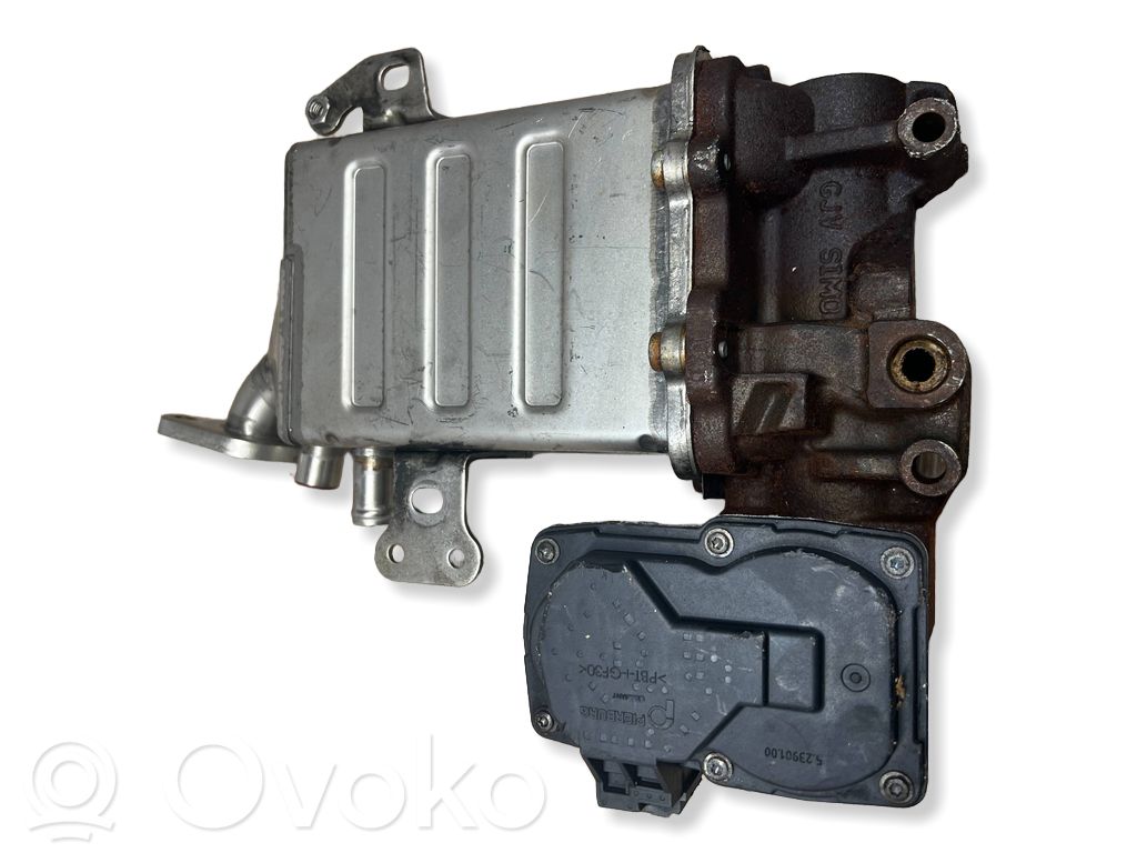 Volkswagen Multivan T6 Valvola di raffreddamento EGR 