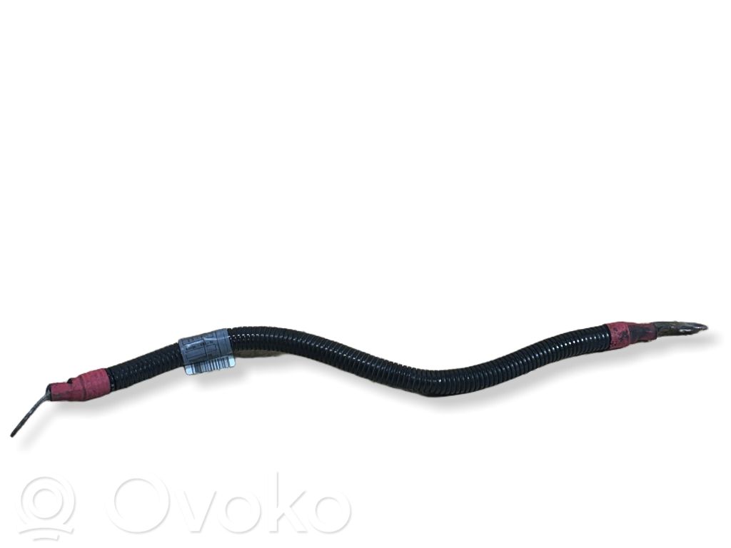 Plusa vads (akumulatora)   7795640