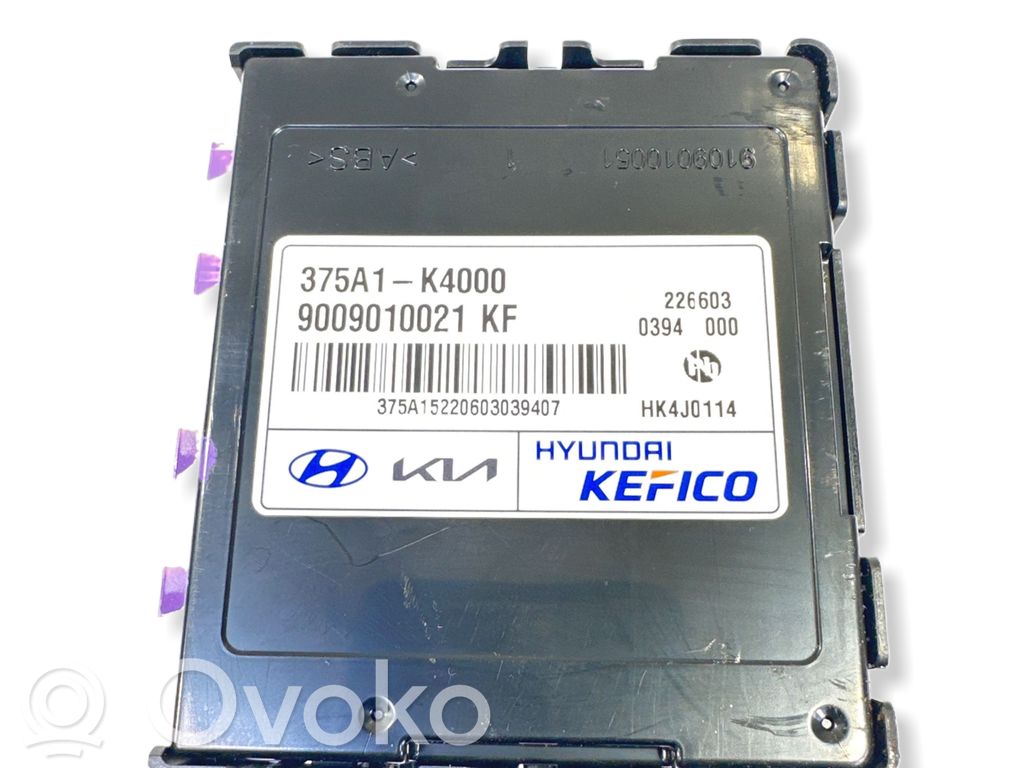 Hyundai Kona I Current control relay 