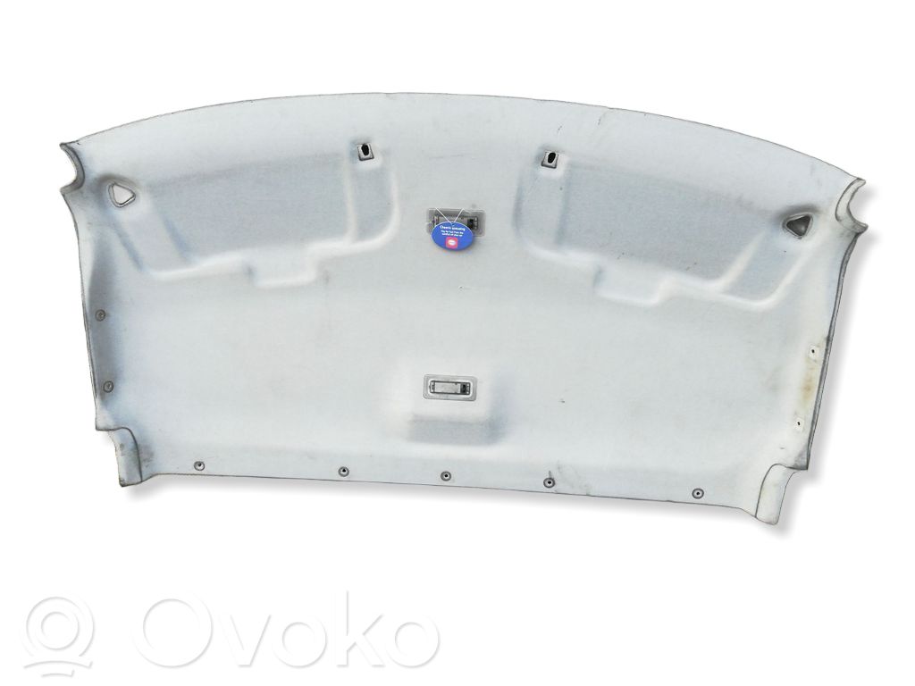 Ford Transit Techo 