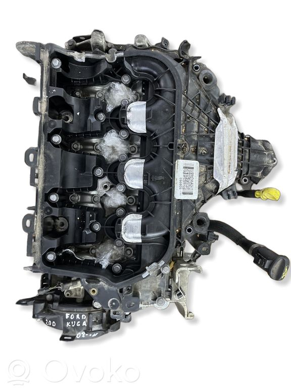 Ford Kuga II Motor 