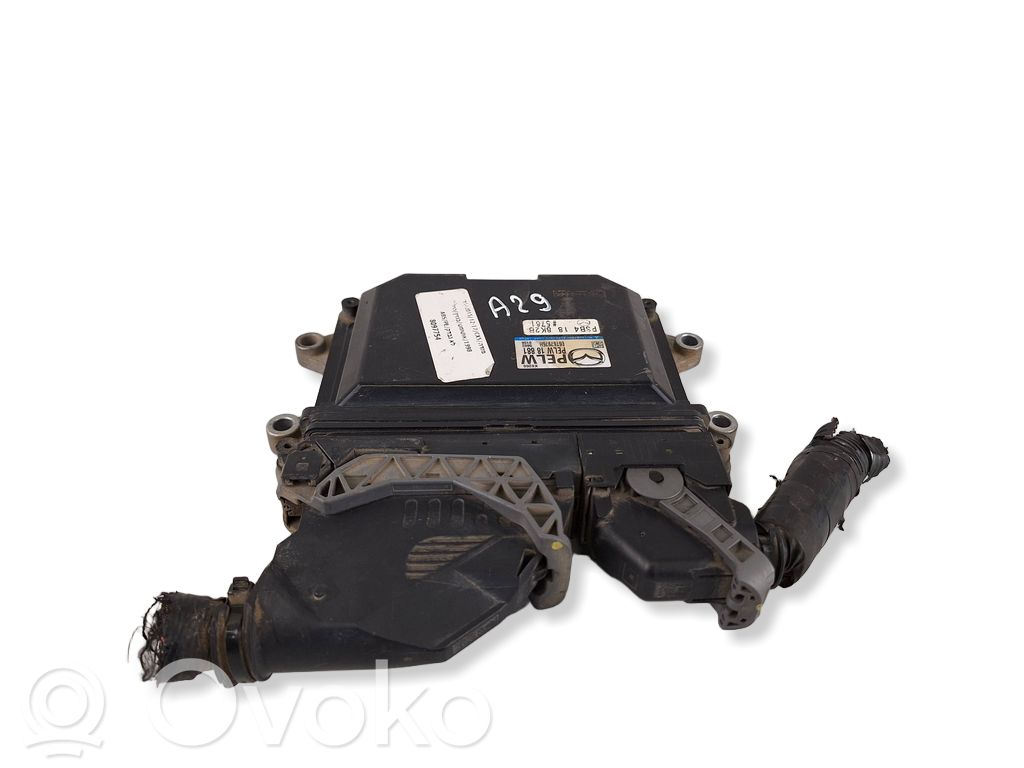 Engine control unit/module   PELW18881,E6T67976H