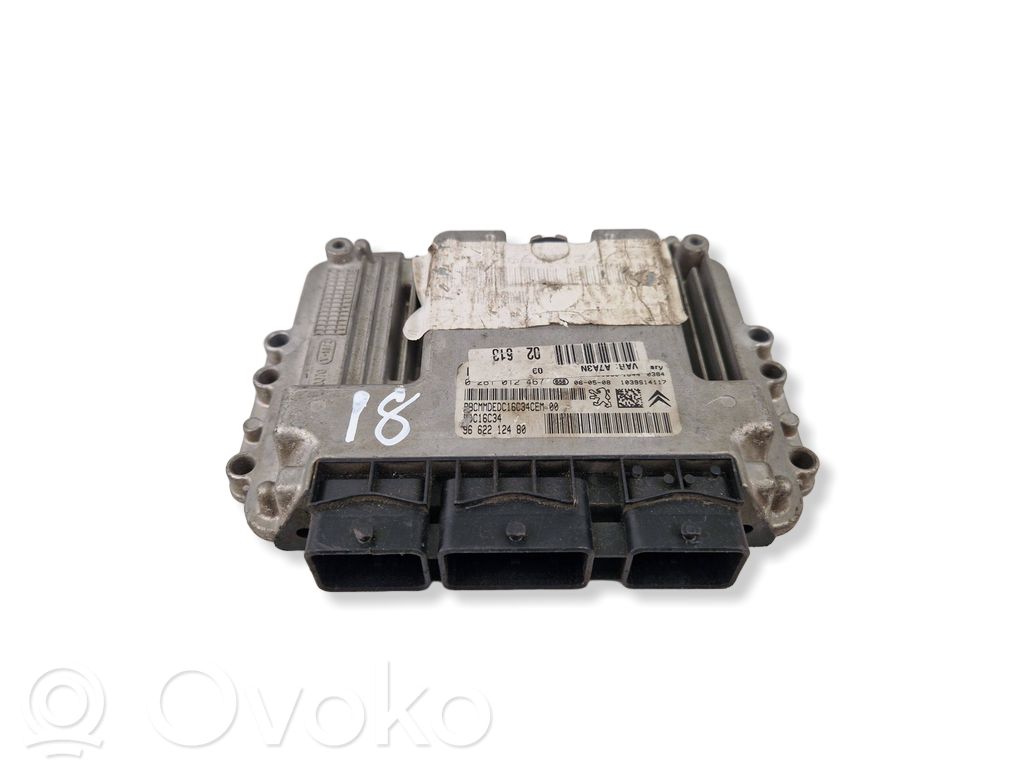 Peugeot 207 Engine control unit/module 
