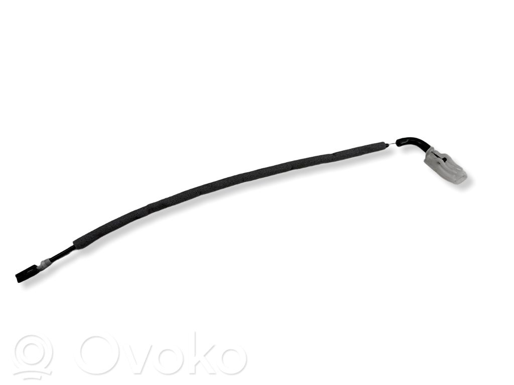 Trosīte   3924754