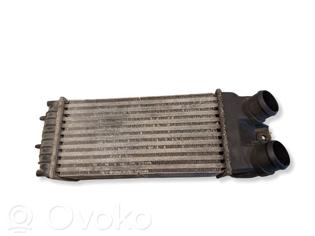 Peugeot Partner Ghidaj aer intercooler 