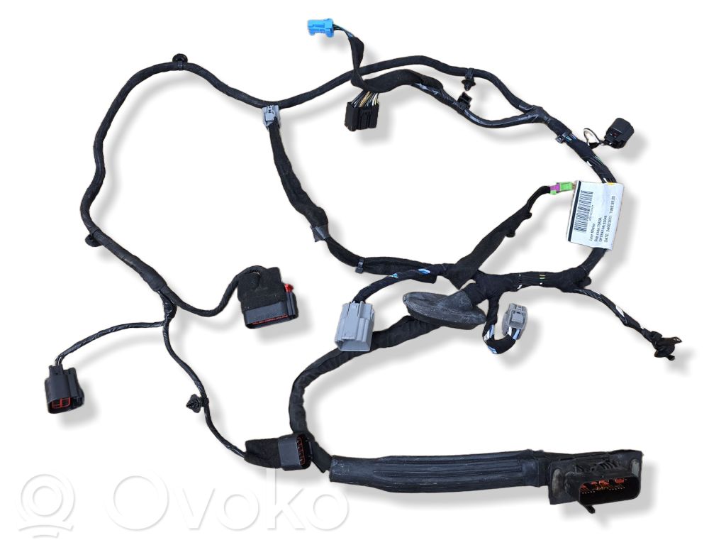 Cableado de puerta delantera   T6A3A,55N6D38H2