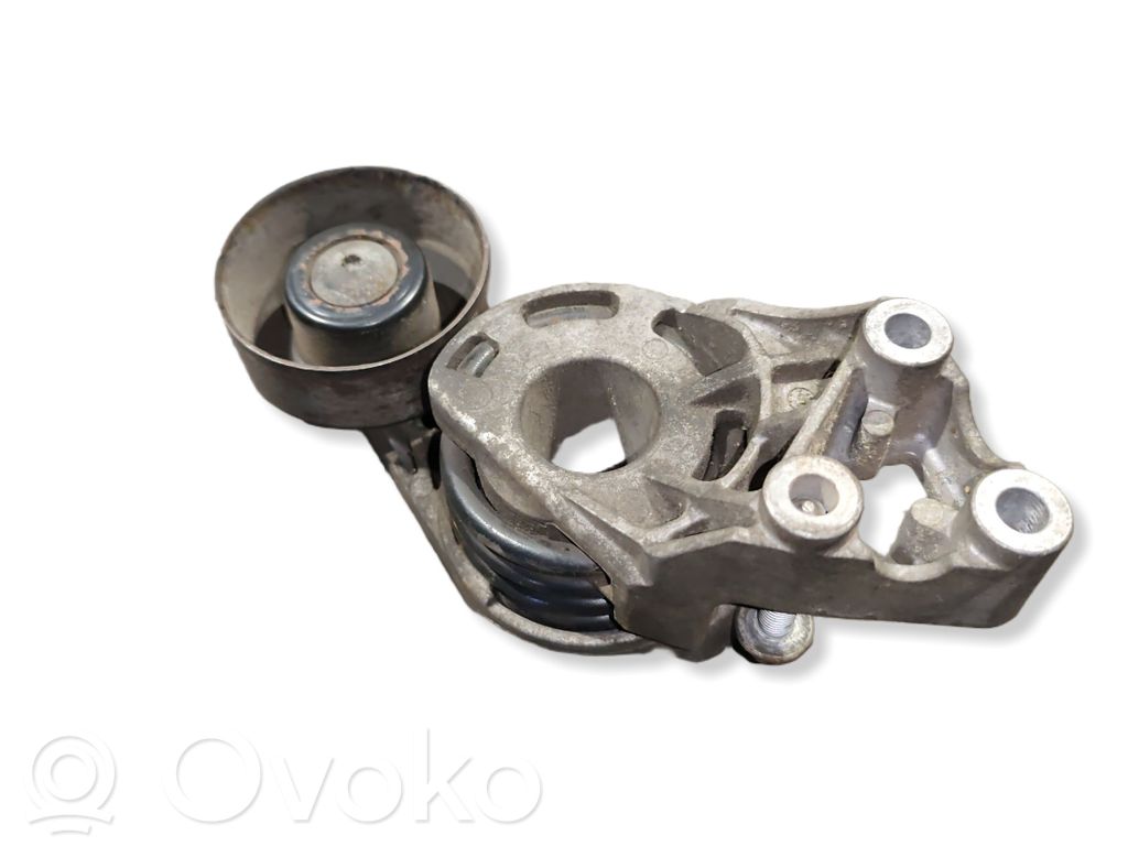 Skoda Roomster (5J) Întinzător curea generator/alternator 