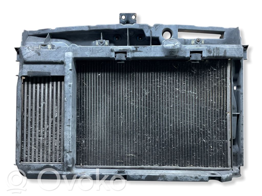 Citroen C3 Radiatorių panelė 