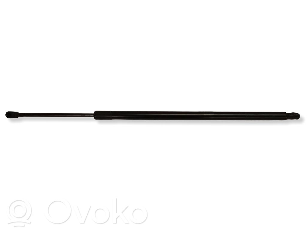 Chrysler Pacifica Tailgate/trunk strut/damper 