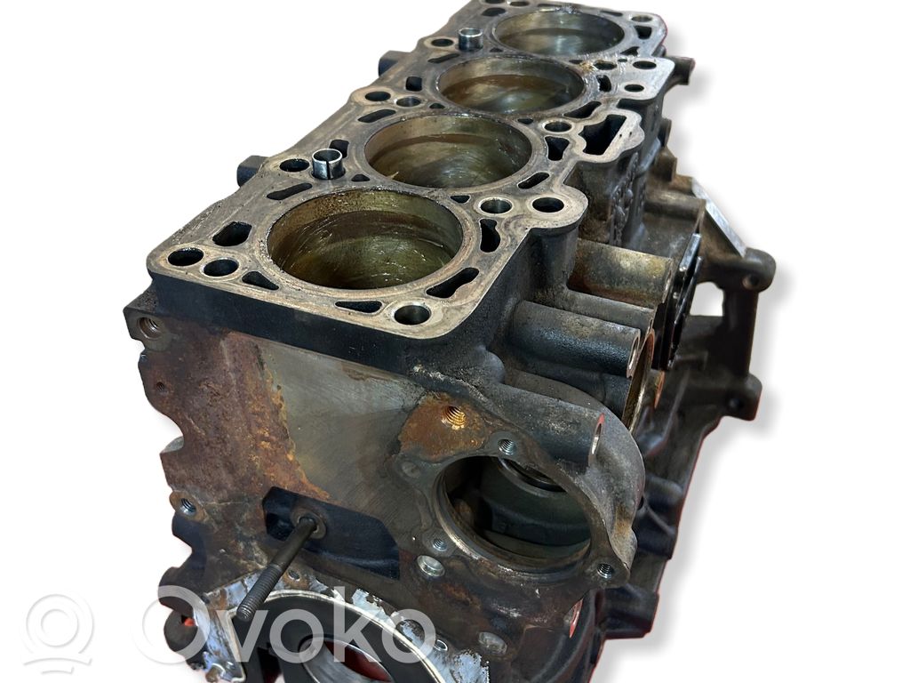 Volkswagen Transporter - Caravelle T5 Engine block 